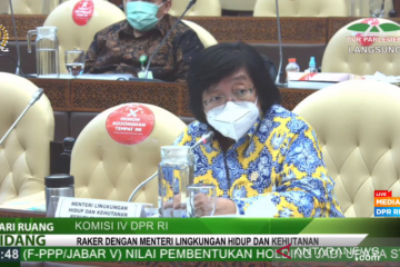 Menteri LHK: Agenda perubahan iklim RI tak tertinggal dengan yang lain