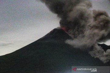 Tiga awan panas guguran Merapi meluncur ke tenggara sejauh 3 km