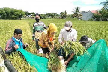 PT Mega Eltra perkuat bisnis di Lampung