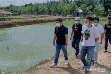 Wakil Ketua DPRD Kalsel Meninjau Budidaya Ikan Lele