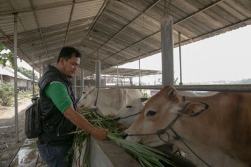 SATU Indonesia Awards Astra ajak anak muda minati sektor agribisnis