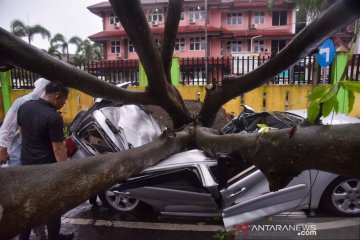 Dua orang meninggal dan lima luka-luka akibat tertimpa pohon tumbang di Medan