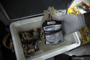 Target 1000 Donor Darah di Palembang