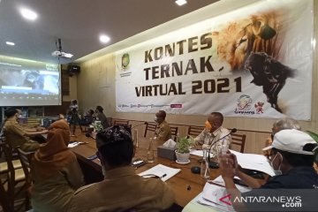 Pemkab Banyuwangi gelar kontes ternak secara virtual