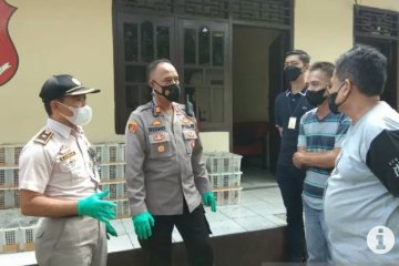 KSKP Bakauheni menggagalkan pengiriman ribuan burung asal Sumsel