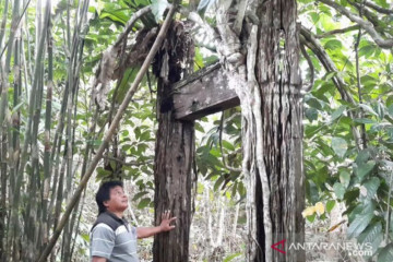 Pemkab Gumas daftarkan rumah adat Dayak sebagai objek cagar budaya