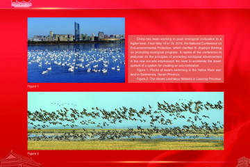 Riwayat 100 Tahun Perkembangan Tiongkok