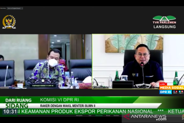 Wamen BUMN Kartika paparkan tujuan bisnis integrasi pelabuhan