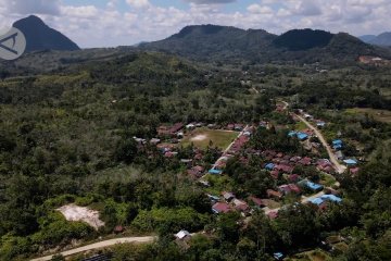 Pengembangan wilayah ekonomi hijau di jantung Kalimantan