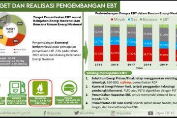 Sektor EBT ditargetkan capai 31% di tahun 2050