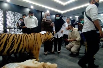 BKSDA Aceh bekali penyidik ilmu forensik satwa dilindungi