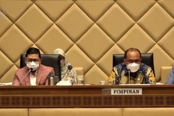 DPR minta KPU antisipasi kerumitan Pemilu 2024