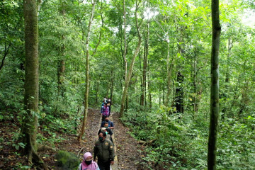 Hutan simpan kebaikan - Bagian 2