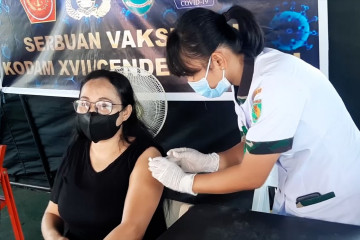 Pelaksanaan vaksinasi massal di Jawa Tengah dan Papua