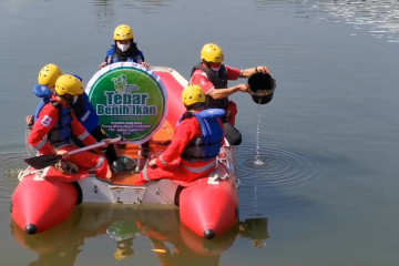 Ribuan benih ikan nila ditebar untuk peringati Hari Lingkungan Hidup