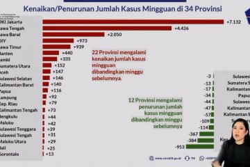 6 Provinsi teratas kenaikan kasus COVID-19 di Pulau Jawa