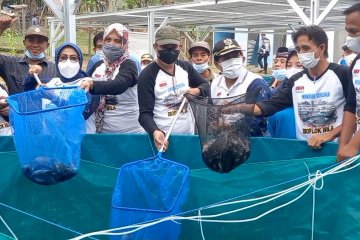 Pemkab Donggala kembangkan budidaya ikan sistem bioflok