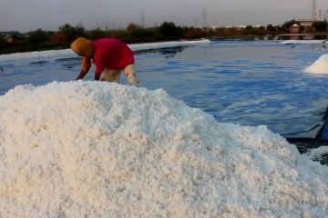 Peningkatan kualitas garam rakyat lewat program washing plant