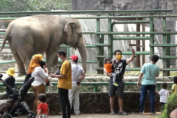 Wajib KTP DKI, 17 ribu pengunjung padati Taman Margasatwa Ragunan