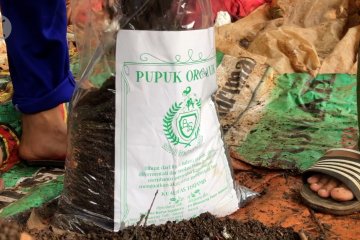 Bumdes di Batang manfaatkan sampah untuk pupuk organik