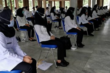 Pandeglang catat kuota rekrutmen CPNS dan PPPK terbanyak