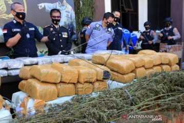 Rilis Pengungkapan Sindikat Ganja Jaringan Nasional 