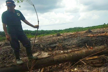 Aktivis lingkungan menilai ekosistem Sungai Bumut di Bartim terganggu