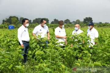 Petani binaan IPB University sudah mampu ekspor tanaman hias