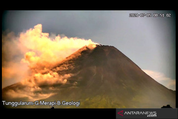 Awan panas guguran meluncur dari Gunung Merapi sejauh 1,5 km