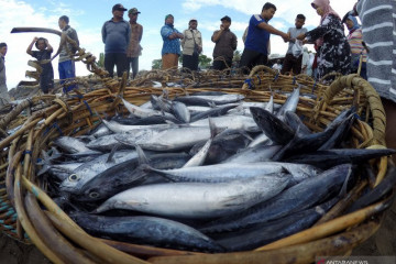 BUMN perikanan-peternakan pastikan stok pangan aman saat PPKM Darurat