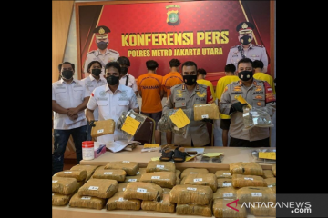 Polrestro Jakarta Utara sita 50 kg ganja dari kaki tangan bandar Sumut