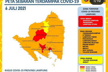 Dinkes: Kasus positif COVID-19 di Lampung bertambah 266