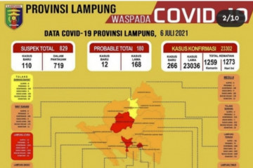 Pemprov Lampung perketat pengawasan tiga daerah berzona merah