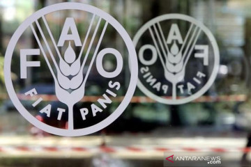FAO: Pertumbuhan produktivitas pangan Indonesia harus atasi stunting
