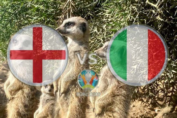 Meerkat ramalkan Inggris juarai Euro 2020