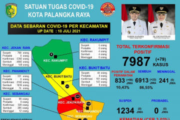 Tambah 23, kasus sembuh dari COVID-19 di Palangka Raya jadi 6.913