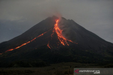 Gunung Merapi meluncurkan guguran lava pijar sejauh 1.800 meter
