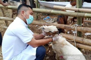 Pemkot Jaktim gandeng tokoh agama untuk sosialisasi perayaan Idul Adha