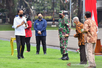 Menteri BUMN: Paket obat gratis agar rakyat tidak kebingungan