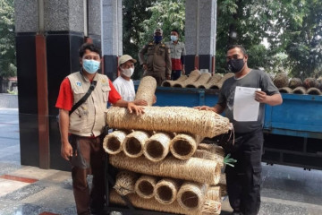 Baznas Jakarta Timur distribusikan bongsang untuk daging kurban