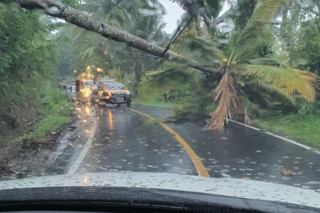 PLN UP3 Manado perbaiki jaringan listrik putus akibat cuaca ekstrem