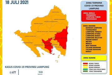 Lampung catatkan rekor kasus harian COVID-19 sebanyak 677 pasien