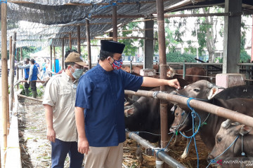 RPH Dharma Jaya catat peningkatan penerimaan hewan kurban 30 persen