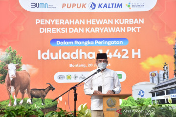 Pupuk Kaltim kurban 102 sapi dan 60 kambing untuk 6.014 mustahik