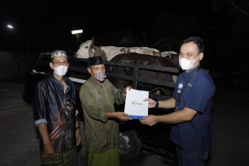Pupuk Indonesia salurkan hewan kurban Idul Adha 1442 H