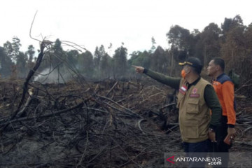 Satgas Karhutla Riau sudah 50 kali water bombing hutan terbakar