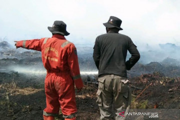 Tim Satgas Karhutla Riau berjibaku padamkan api