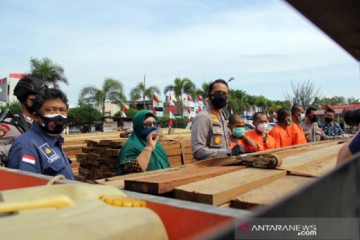 Polisi Dumai kejar dalang pembalakan liar