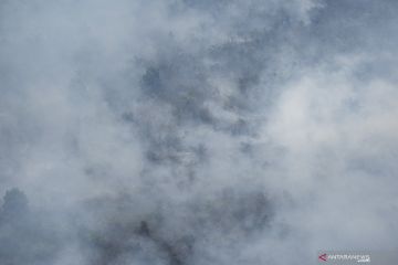 Kebakaran Lahan Perkebunan Kelapa Sawit di OKI