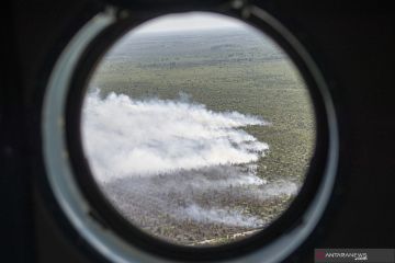 Kebakaran Lahan Perkebunan Kelapa Sawit di OKI